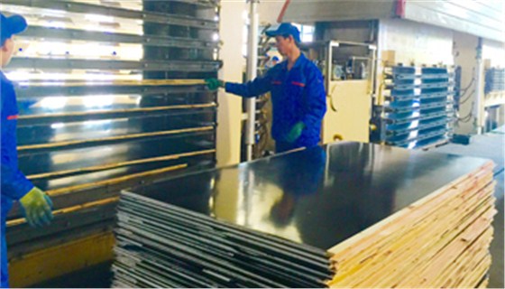 金亨木業有限公司建筑模板