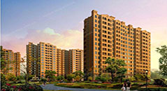 金亨木業(yè)建筑模板--中信地產(chǎn)中信新城X1-3項(xiàng)目